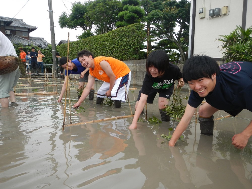学生たちと菱の苗植え 神埼市