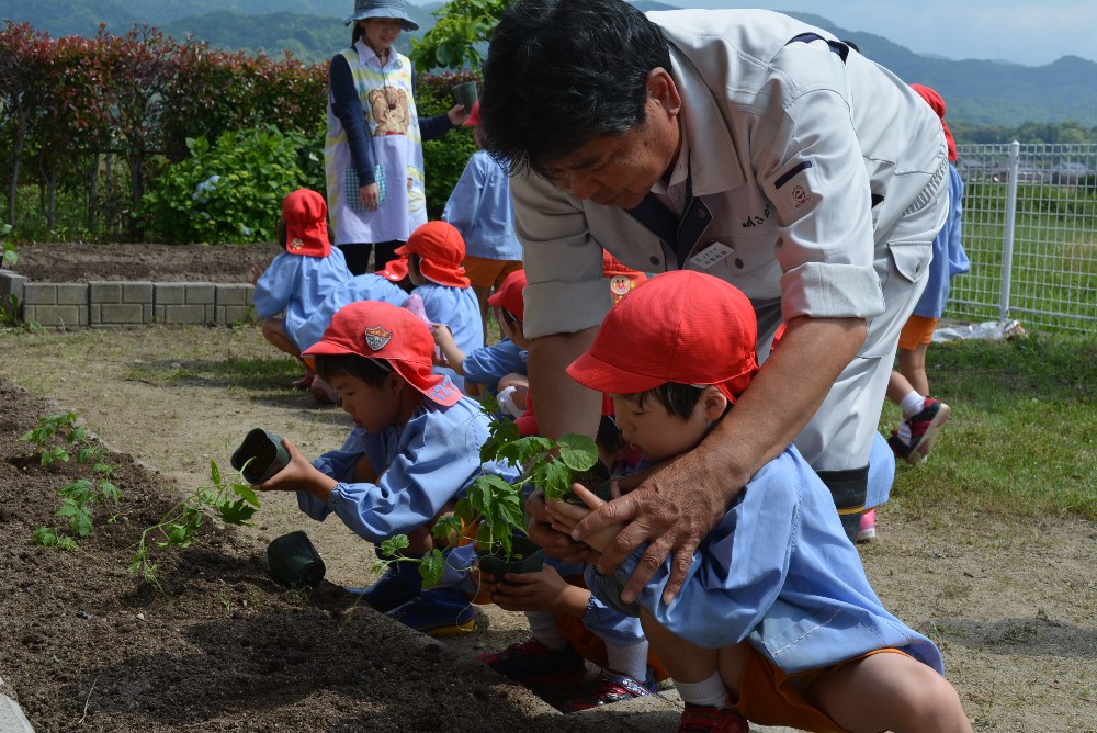 夏野菜の植栽