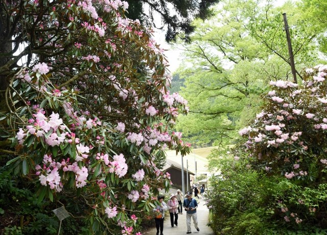 浄徳寺