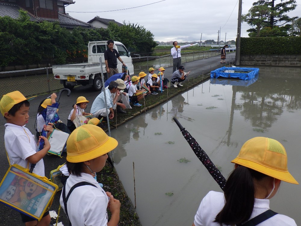 菱の学習