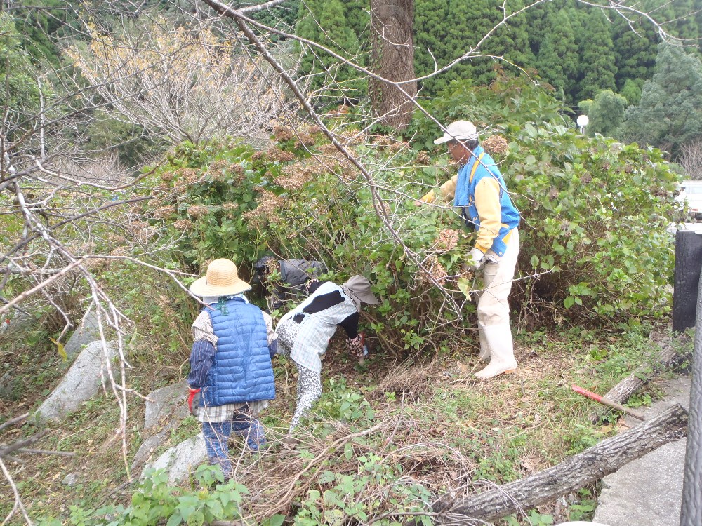 清掃活動