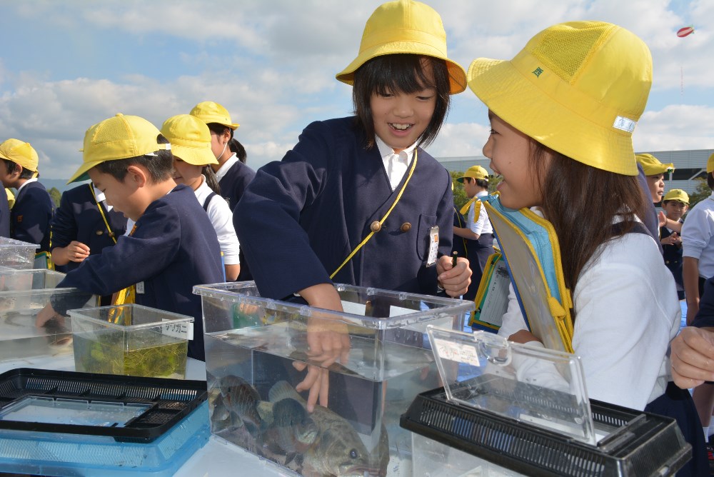 環境学習会