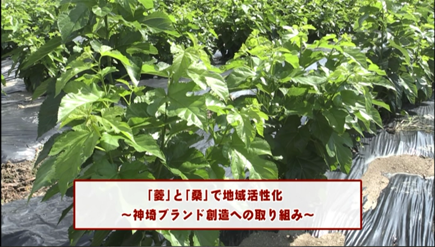 よかね神埼令和2年8月