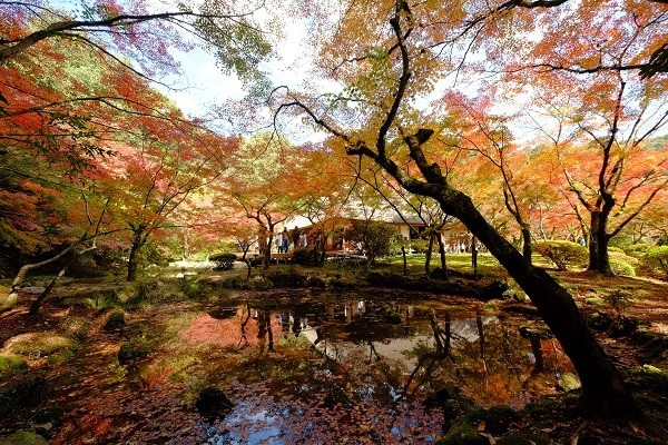 1-口絵12 紅葉の九年庵庭園