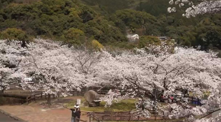 ふるさと・人と風土_名所編1_動画サムネイル画像