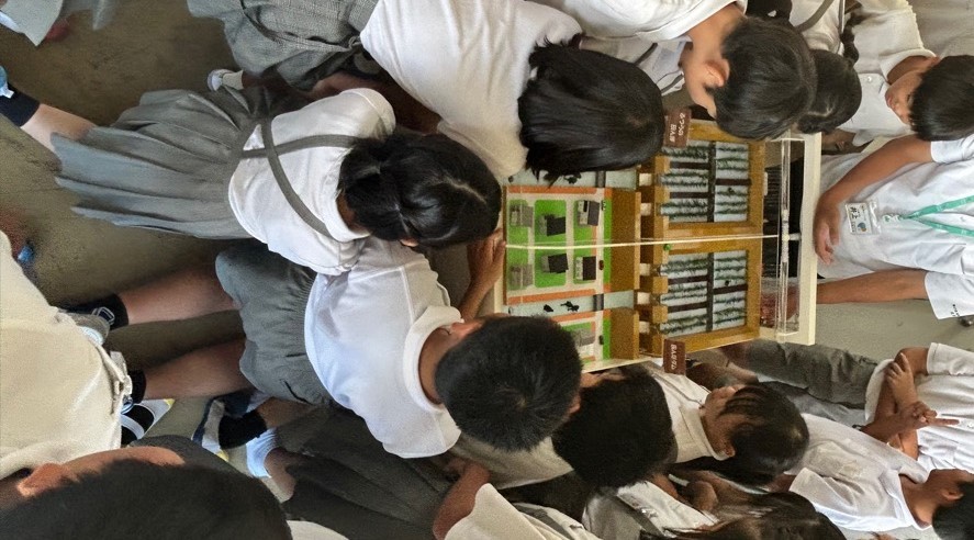 photo_20250916-140713_4 (1)