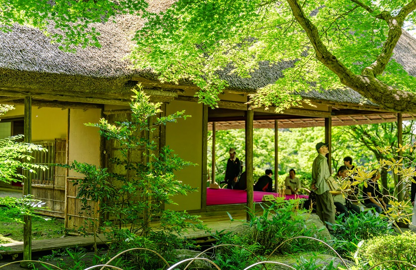 春の九年庵写真