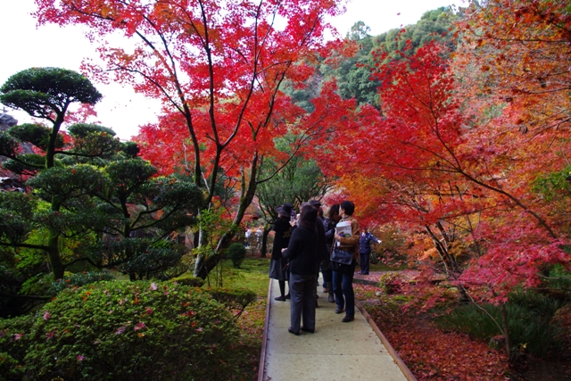 秋の九年庵