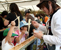 〔写真〕神埼そうめん祭り