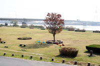 〔写真〕筑後川運動公園