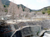 〔写真〕遠景